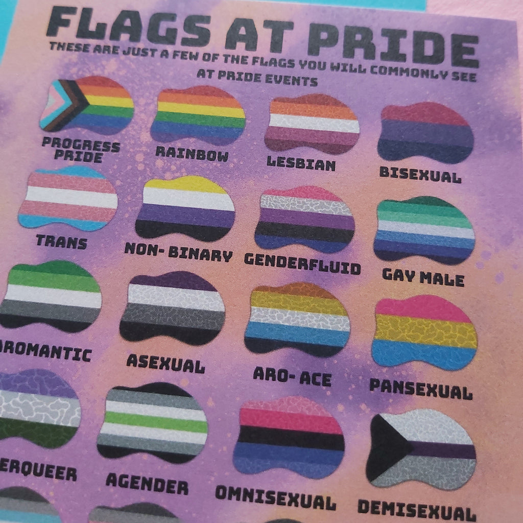 A printed pride flag chart titled "FLAGS AT PRIDE" showing multiple small rainbow and identity flags with labels such as Progress Pride, Rainbow, Lesbian, Bisexual, Trans, Non-Binary, Genderfluid, Gay Male, Aromantic, Asexual, Aro-Ace, Pansexual, and Demisexual. The chart is photographed on a colorful pastel background.