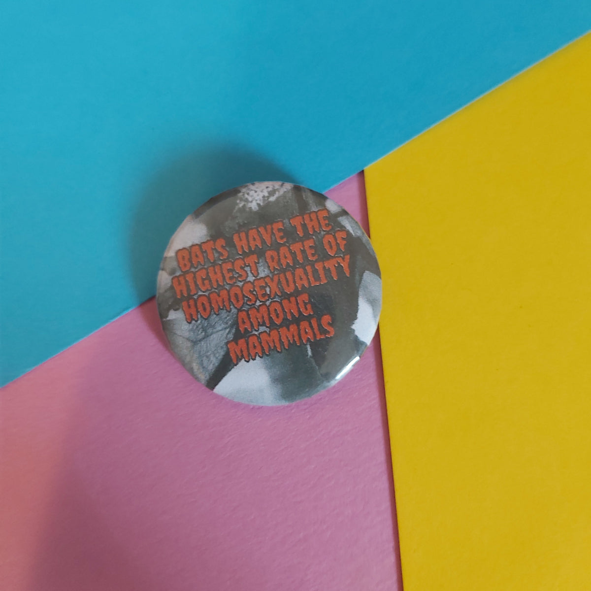 A round pinback button badge with a grayscale photo of a person and orange text reading 'BATS HAVE THE HIGHEST RATE OF HOMOSEXUALITY AMONG MAMMALS', placed on a colourful background of cyan, yellow, and pink paper.