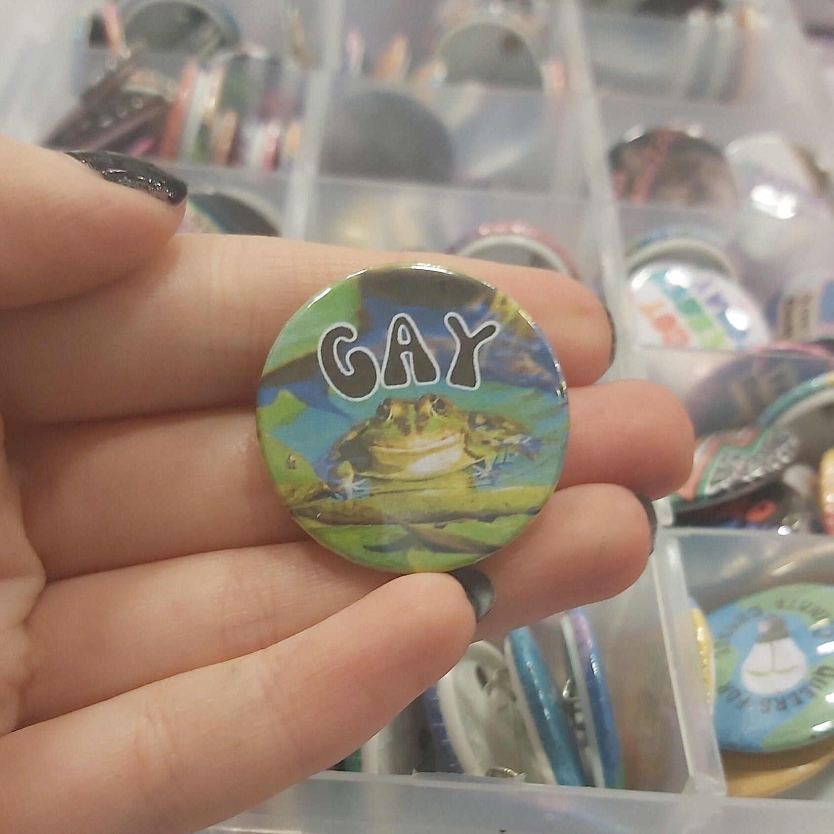 A hand holding a round pinback button featuring a frog photo and the word 'GAY' in white letters, with a background of a clear organiser filled with other buttons.
